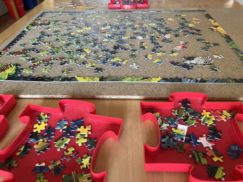 Gespräche systemisch-lösungsorientiert gestalten